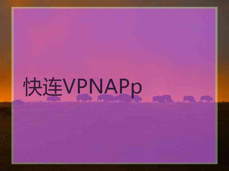 快连VPNAPp