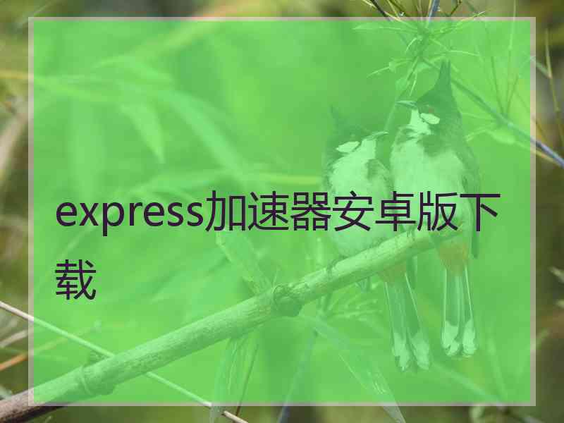 express加速器安卓版下载