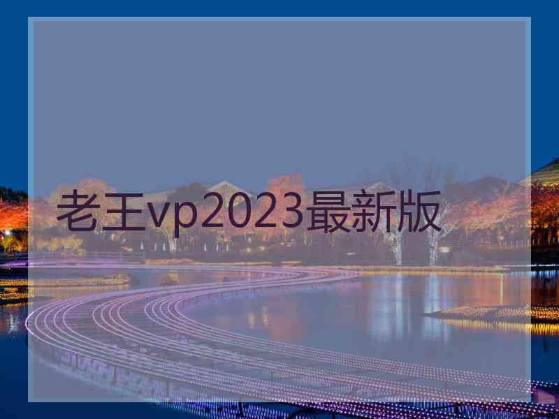 老王vp2023最新版