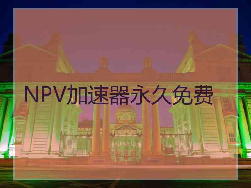 NPV加速器永久免费