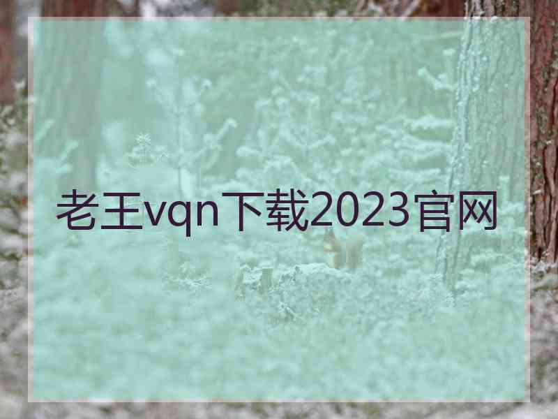 老王vqn下载2023官网