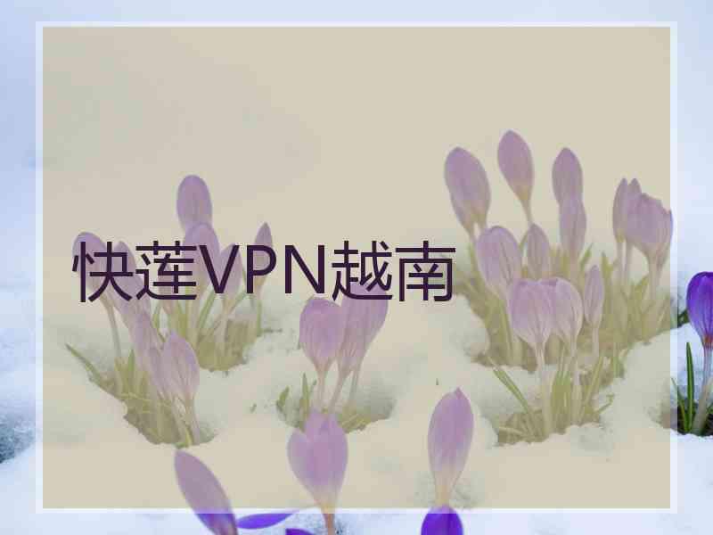 快莲VPN越南