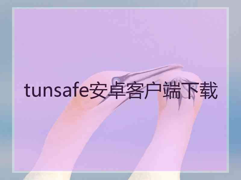 tunsafe安卓客户端下载
