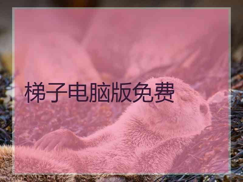 梯子电脑版免费