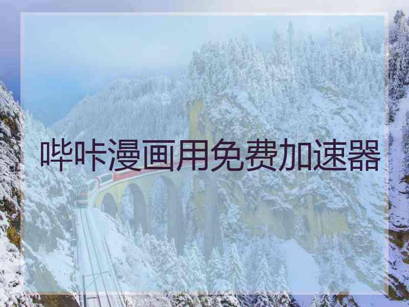 哔咔漫画用免费加速器