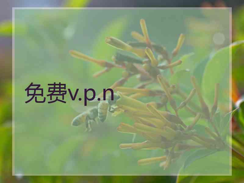 免费v.p.n