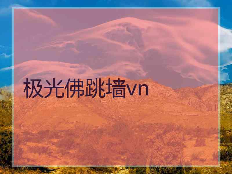 极光佛跳墙vn