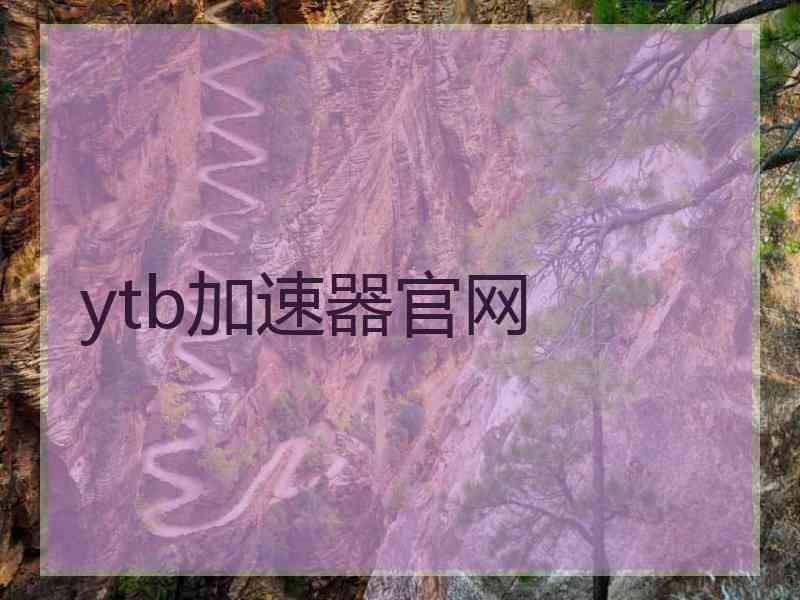ytb加速器官网