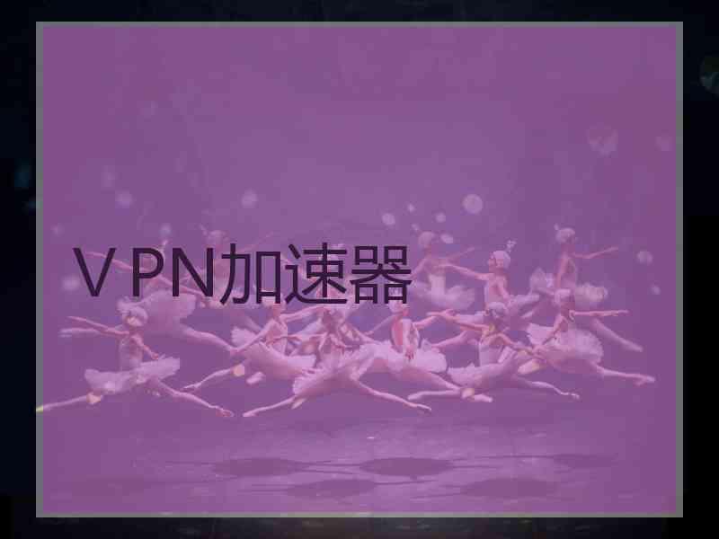 ⅤPN加速器