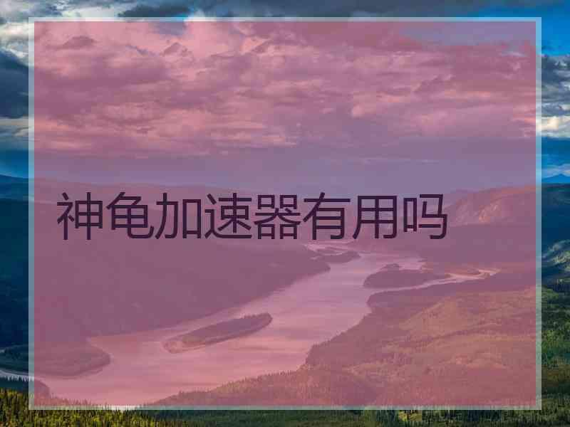 神龟加速器有用吗
