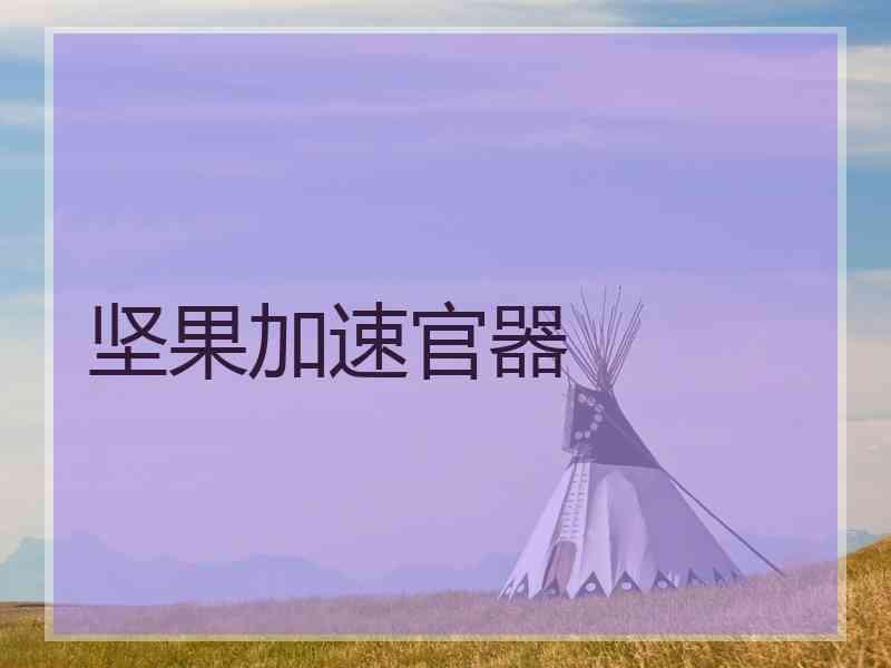 坚果加速官器