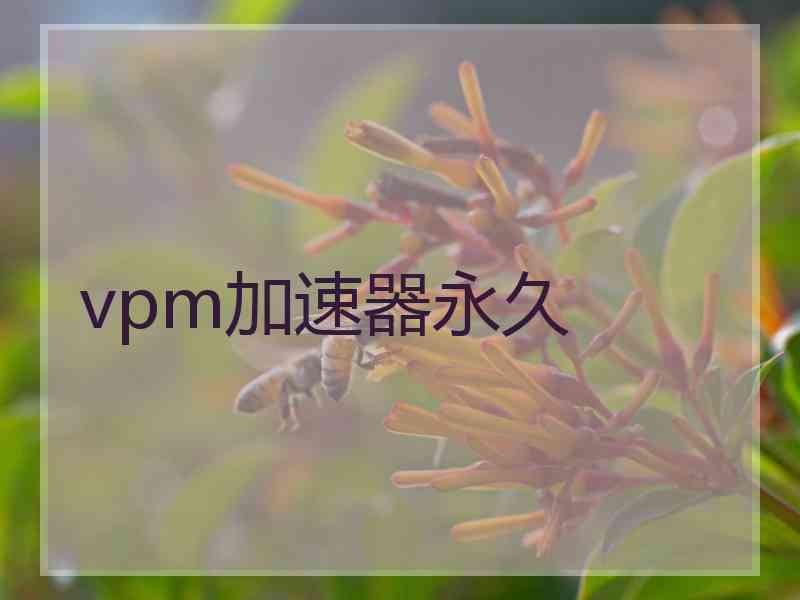 vpm加速器永久
