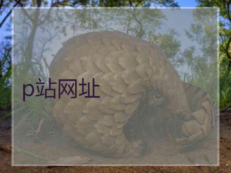 p站网址