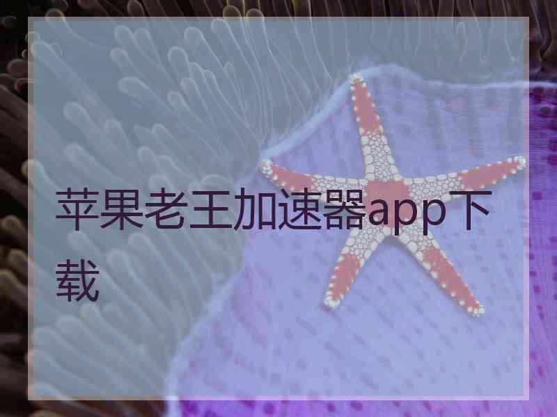 苹果老王加速器app下载