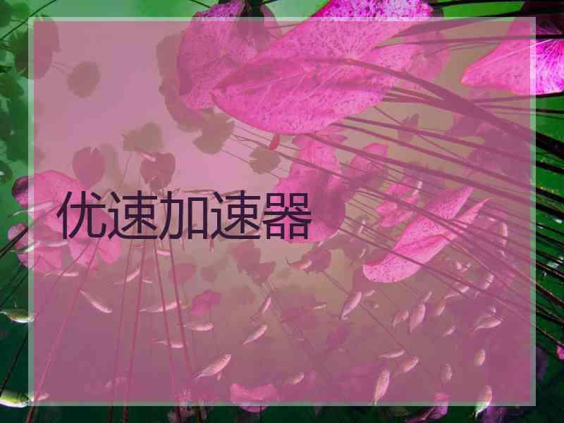 优速加速器
