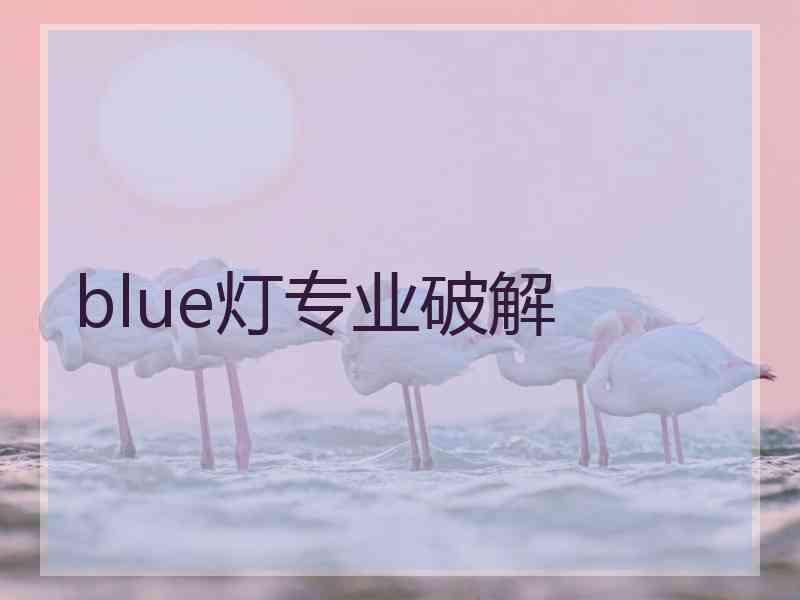 blue灯专业破解