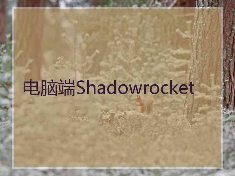 电脑端Shadowrocket
