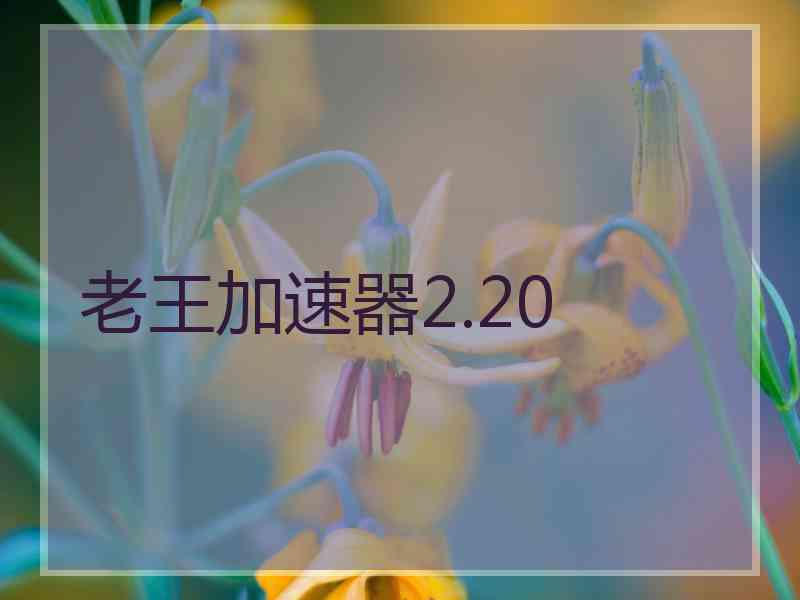 老王加速器2.20