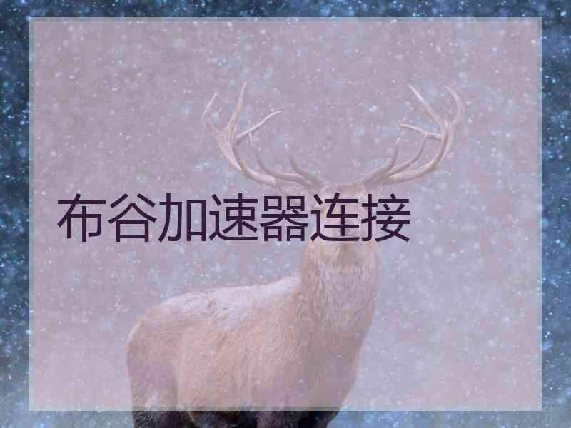 布谷加速器连接