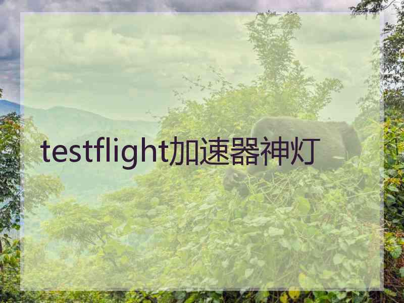 testflight加速器神灯