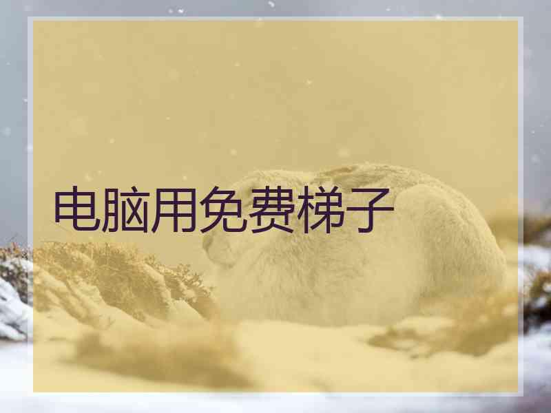 电脑用免费梯子