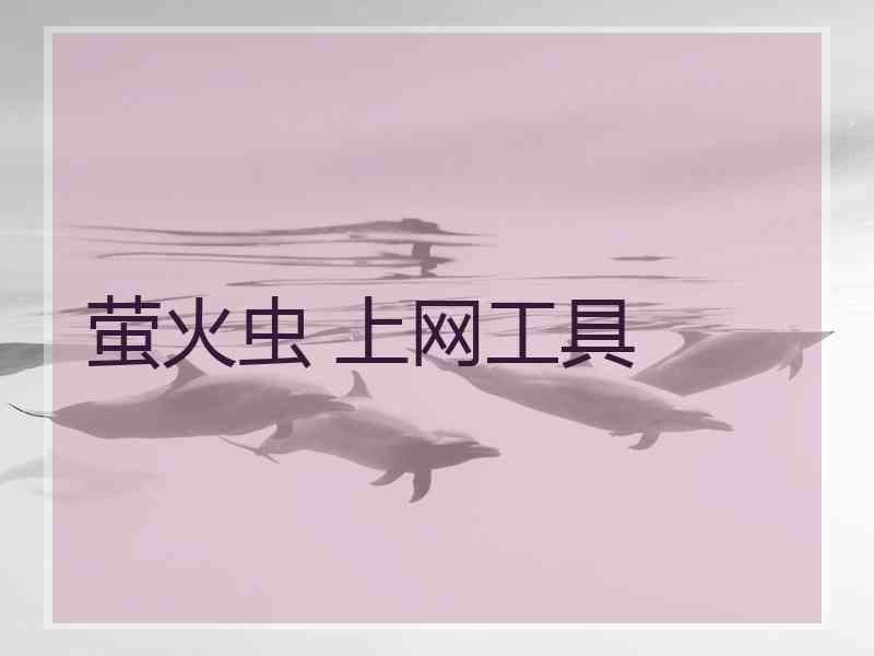 萤火虫 上网工具
