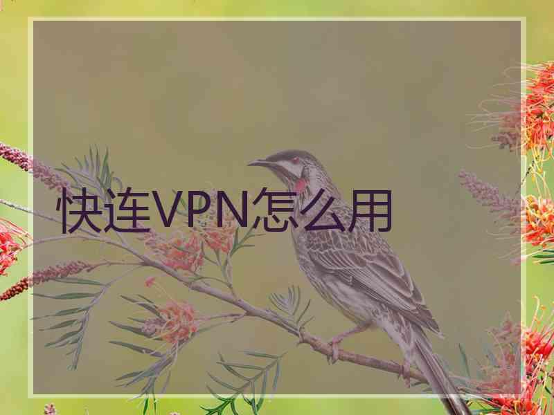快连VPN怎么用
