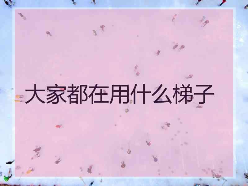 大家都在用什么梯子