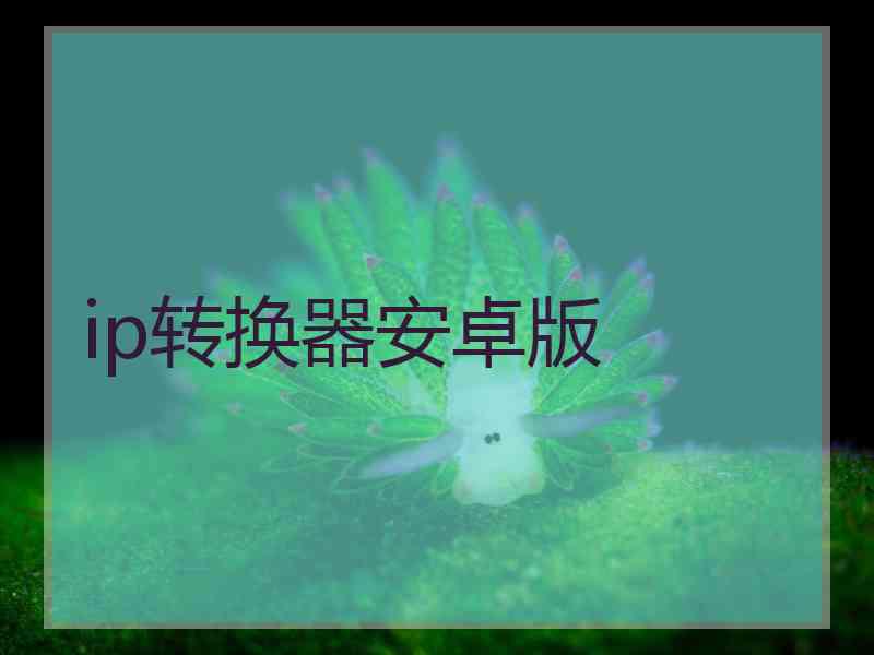 ip转换器安卓版