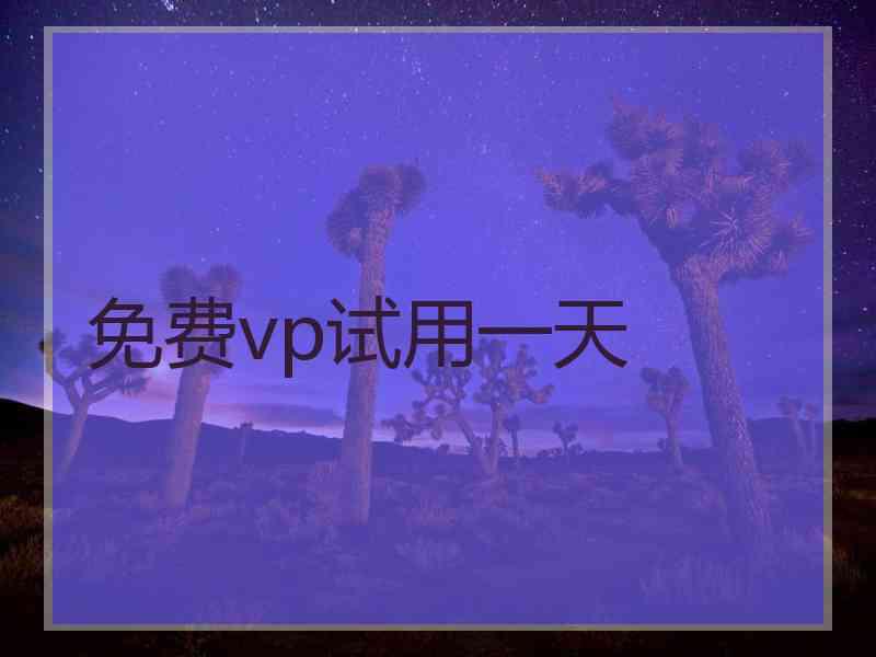 免费vp试用一天