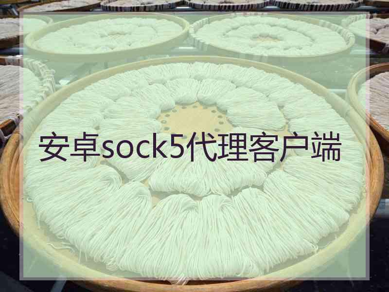 安卓sock5代理客户端