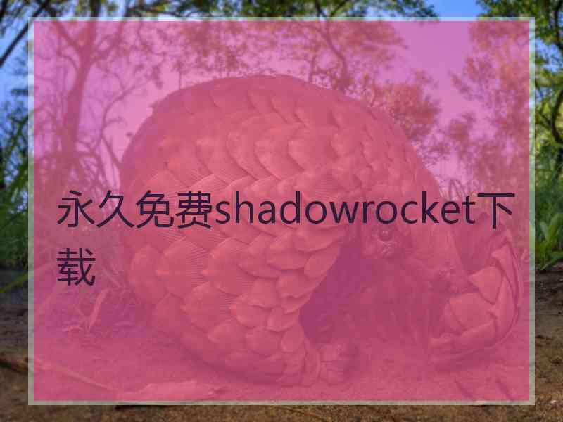 永久免费shadowrocket下载