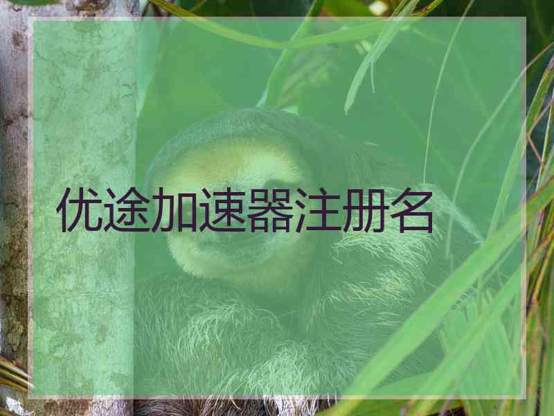 优途加速器注册名