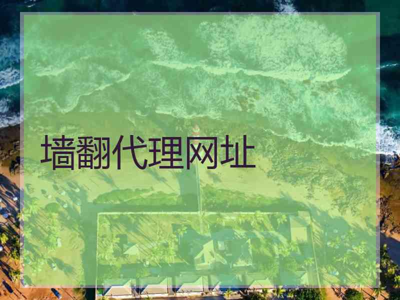 墙翻代理网址