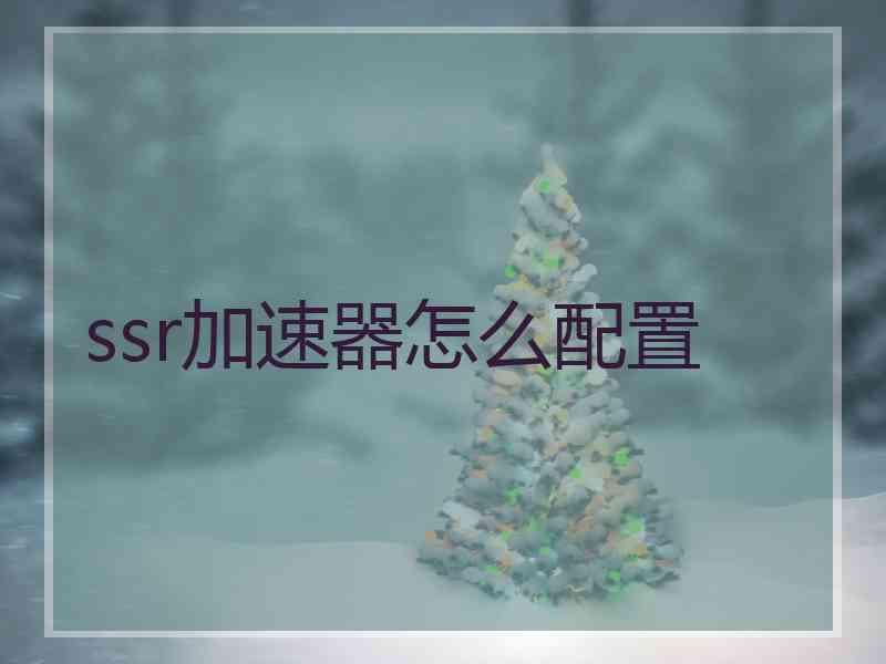 ssr加速器怎么配置