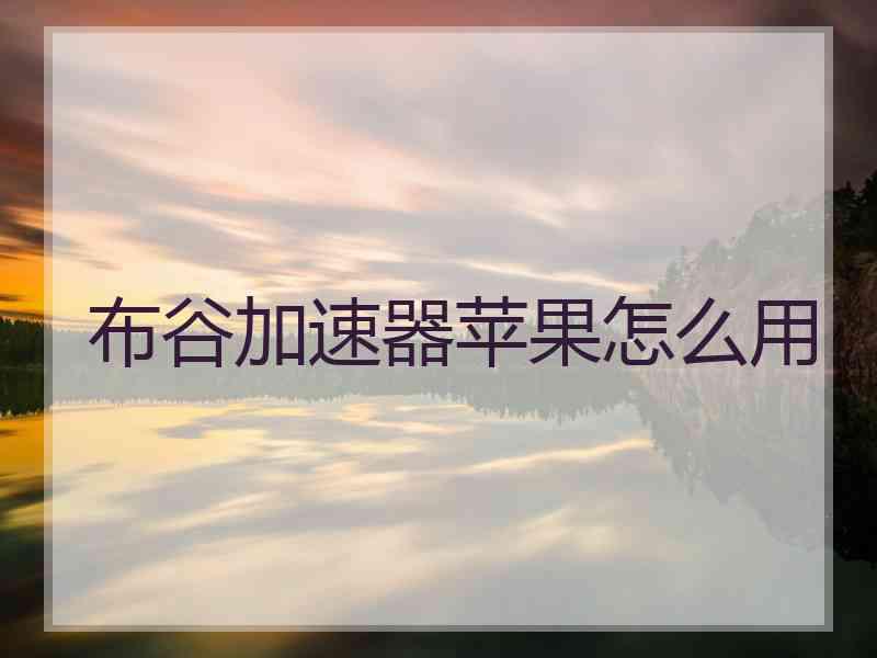 布谷加速器苹果怎么用
