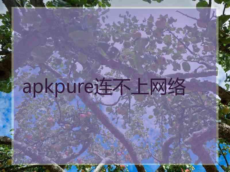 apkpure连不上网络