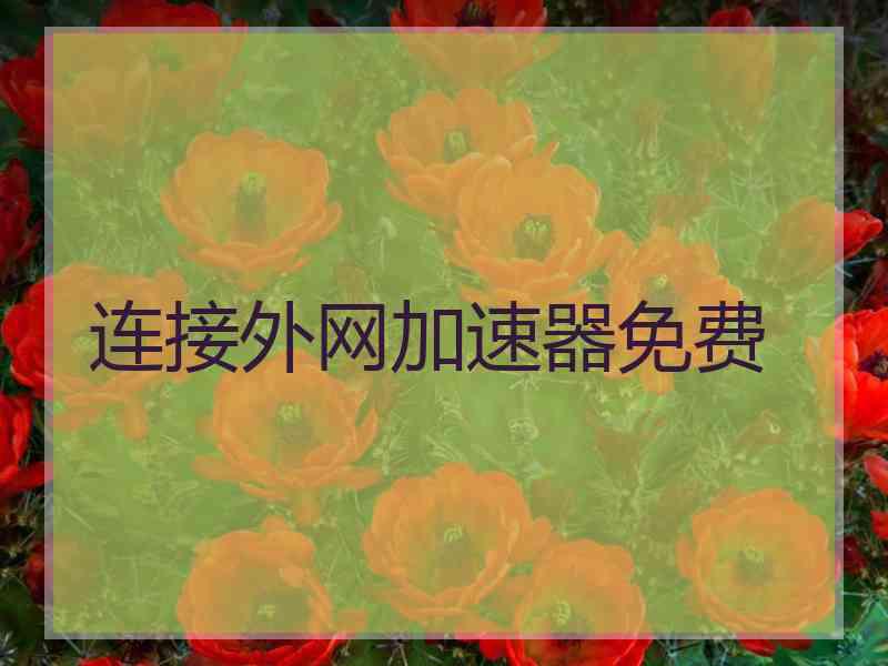 连接外网加速器免费