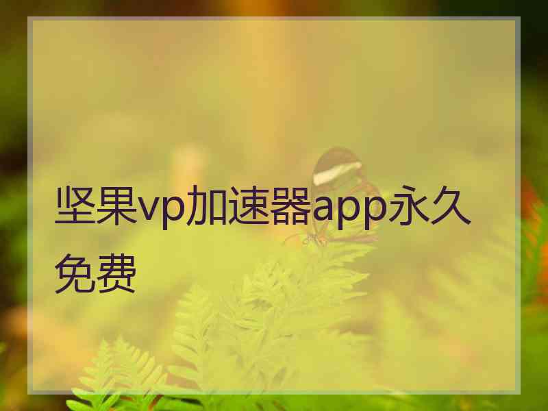 坚果vp加速器app永久免费