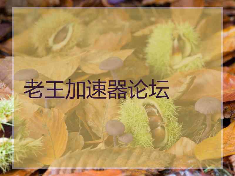 老王加速器论坛