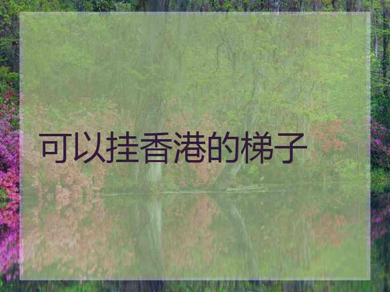 可以挂香港的梯子