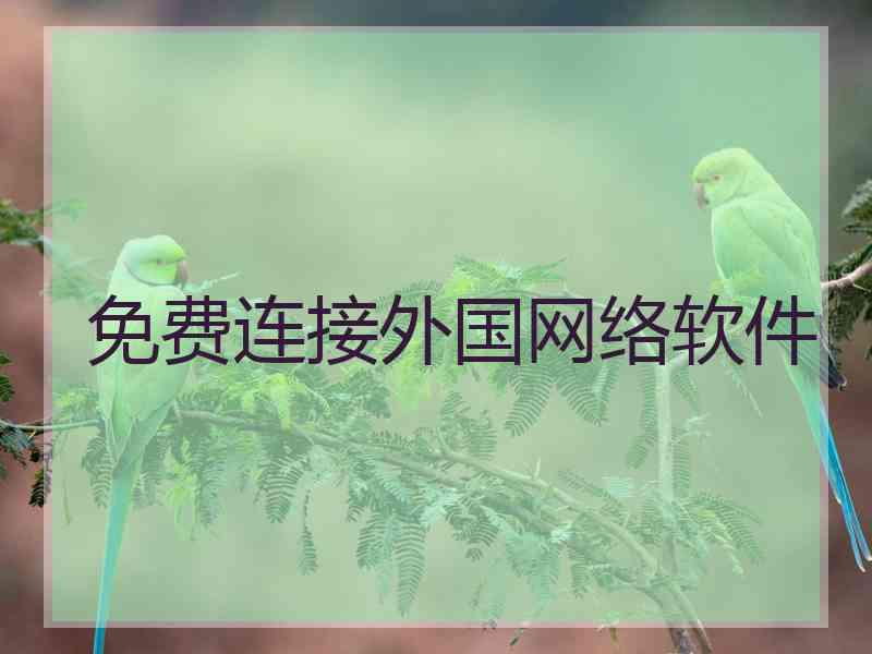 免费连接外国网络软件