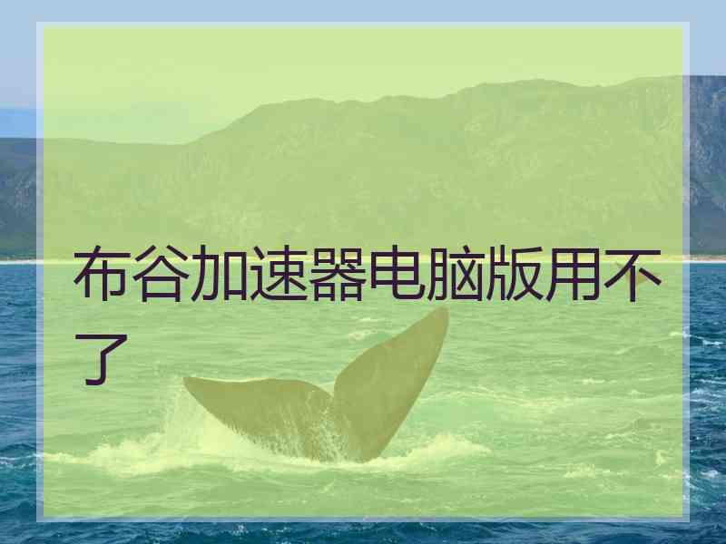 布谷加速器电脑版用不了