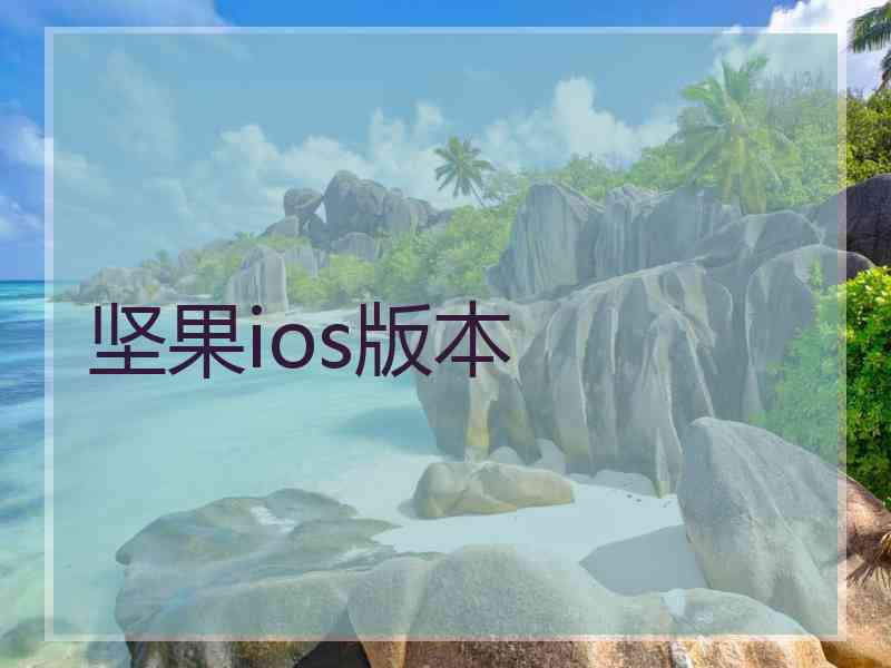 坚果ios版本