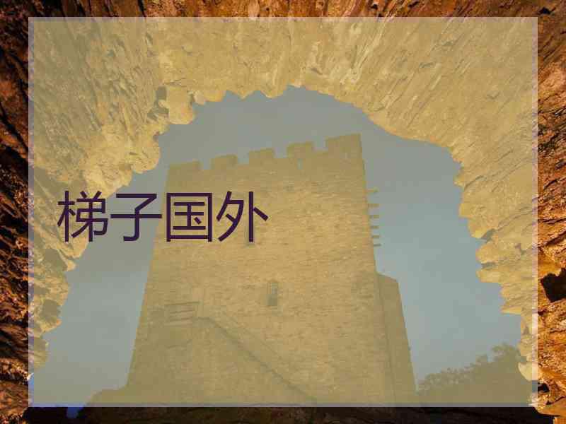 梯子国外