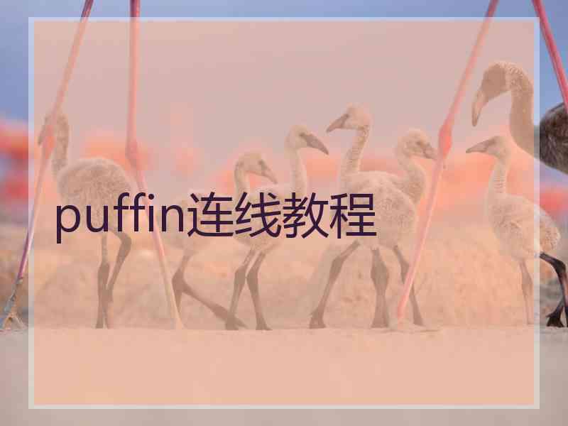 puffin连线教程