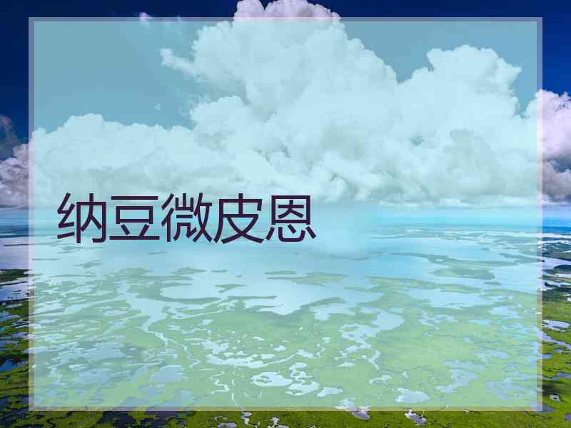 纳豆微皮恩