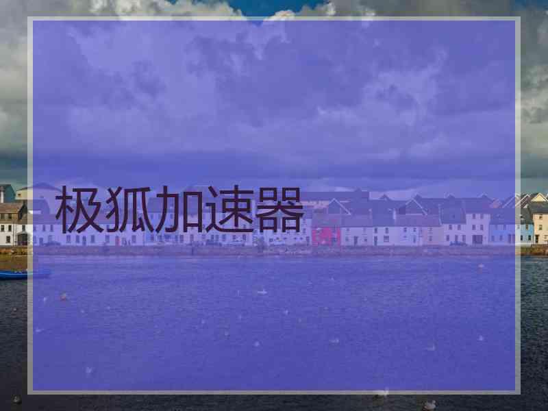 极狐加速器