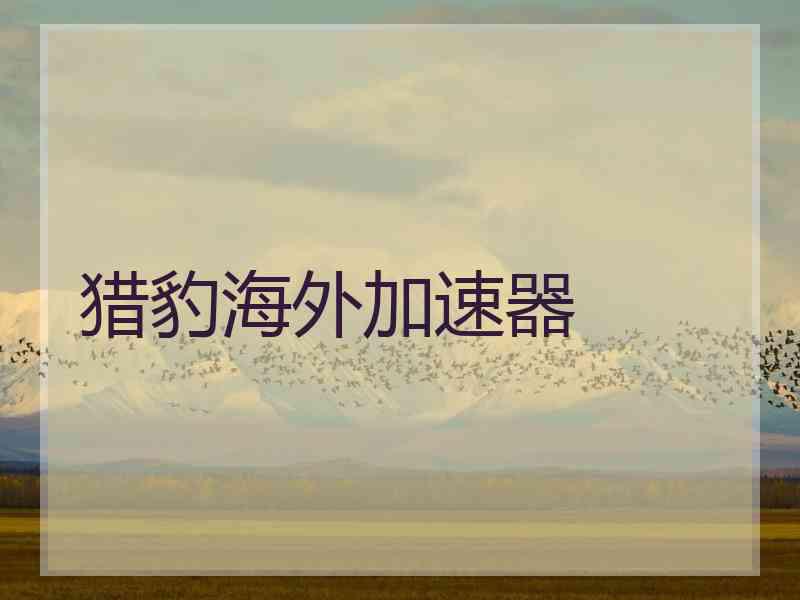 猎豹海外加速器