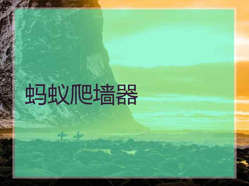 蚂蚁爬墙器